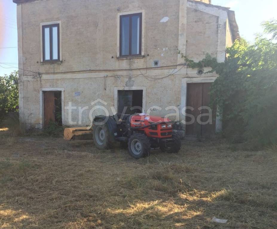 terreno agricolo in vendita a Castrovillari