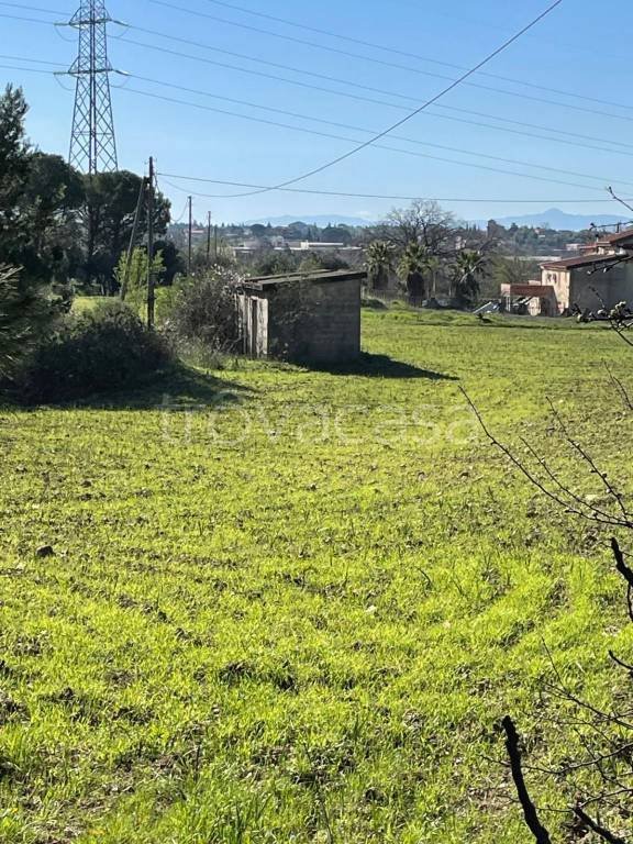 terreno agricolo in vendita a Castrovillari