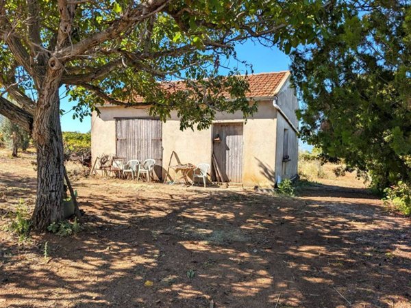 terreno agricolo in vendita a Castrovillari