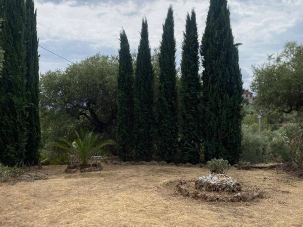 intera palazzina in vendita a Castrovillari