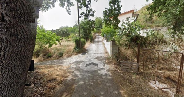 terreno agricolo in vendita a Castrovillari