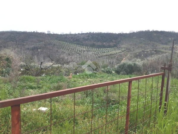 terreno agricolo in vendita a Castrovillari