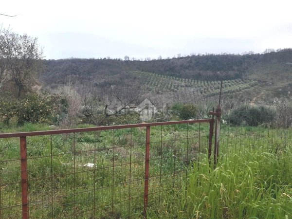 terreno agricolo in vendita a Castrovillari