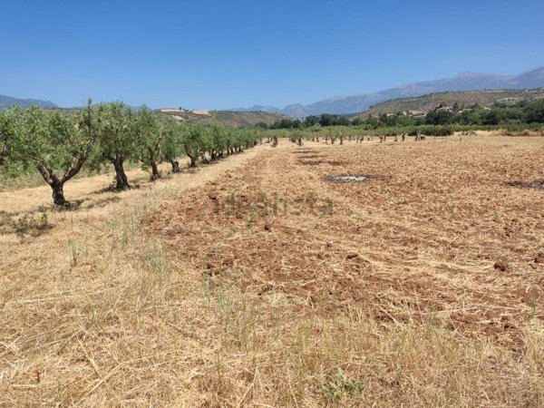 terreno agricolo in vendita a Castrovillari