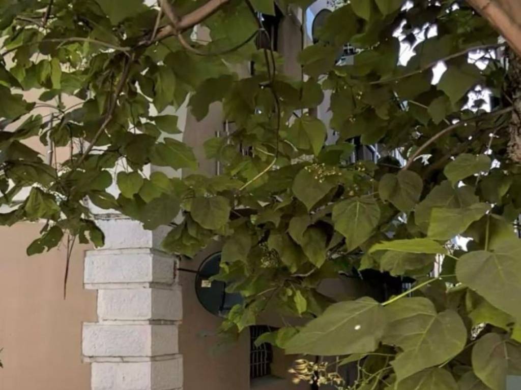 casa indipendente in vendita a Castrovillari