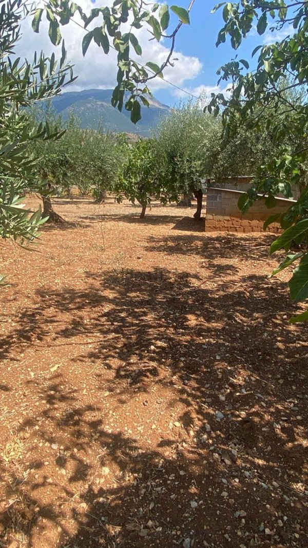 casa indipendente in vendita a Castrovillari