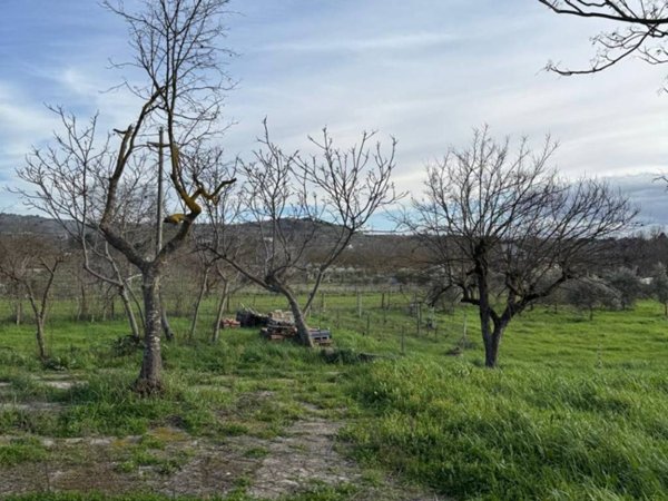 terreno agricolo in vendita a Castrovillari