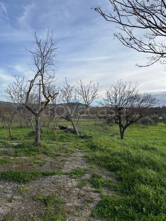 terreno agricolo in vendita a Castrovillari