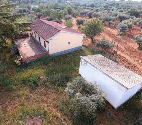 pentavano in vendita a Castrovillari