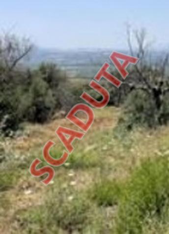 terreno agricolo in vendita a Castrovillari