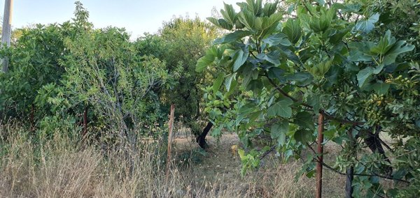 terreno in vendita a Castrovillari in zona Vigne