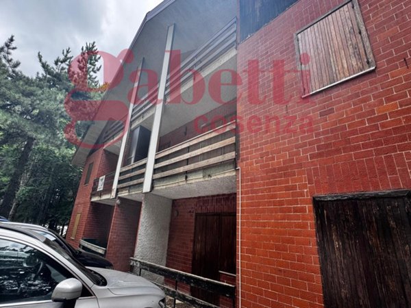 appartamento in vendita a Celico in zona Fago del Soldato