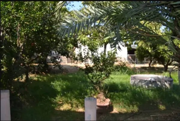 casa indipendente in vendita a Cerchiara di Calabria