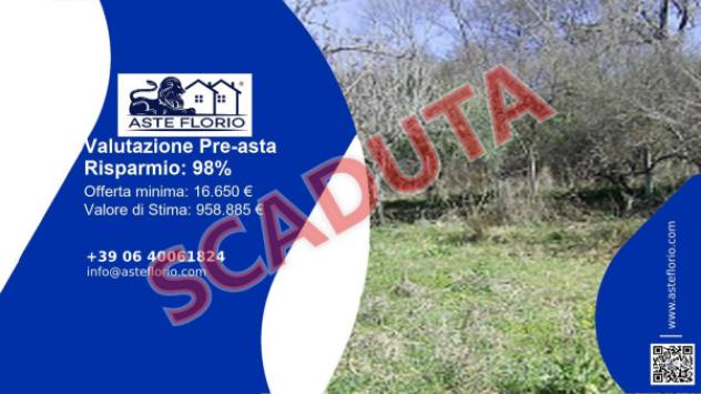 terreno agricolo in vendita a Cerchiara di Calabria