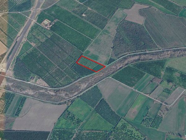 terreno agricolo in vendita a Cerchiara di Calabria