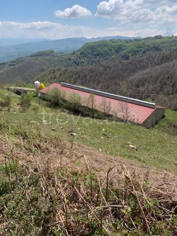 casa indipendente in vendita a Cerisano