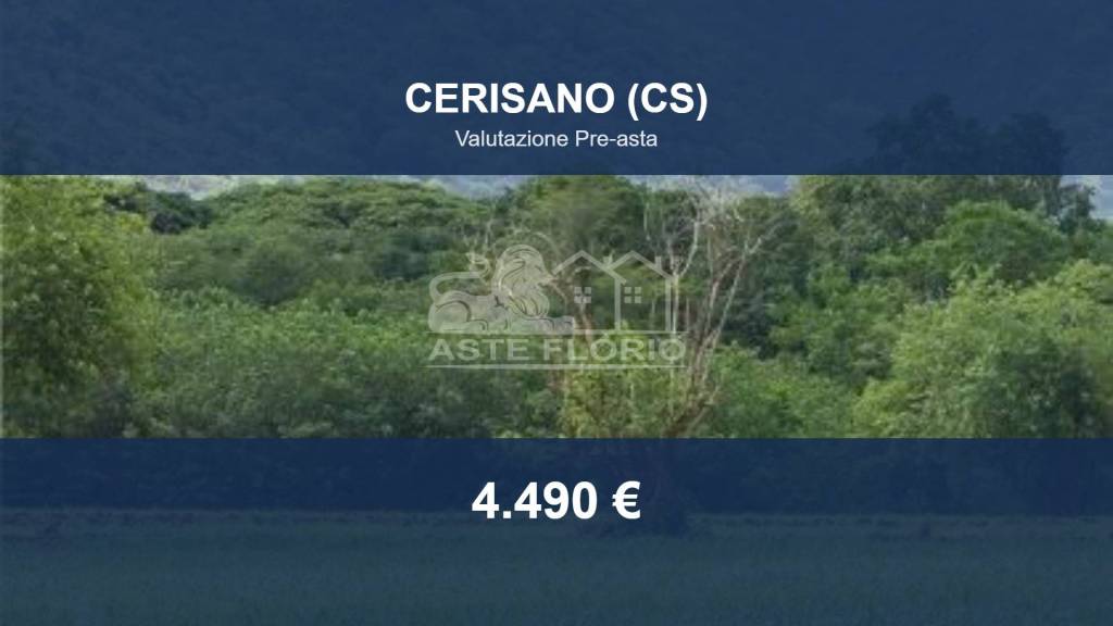 terreno agricolo in vendita a Cerisano