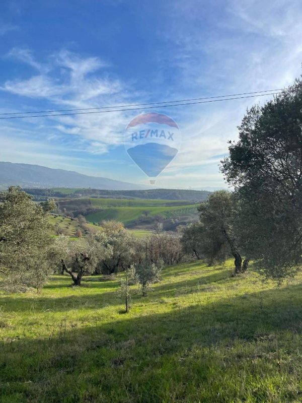 terreno agricolo in vendita a Cervicati