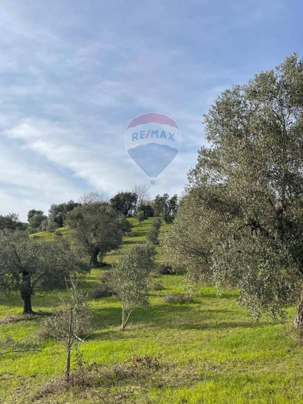 terreno agricolo in vendita a Cervicati