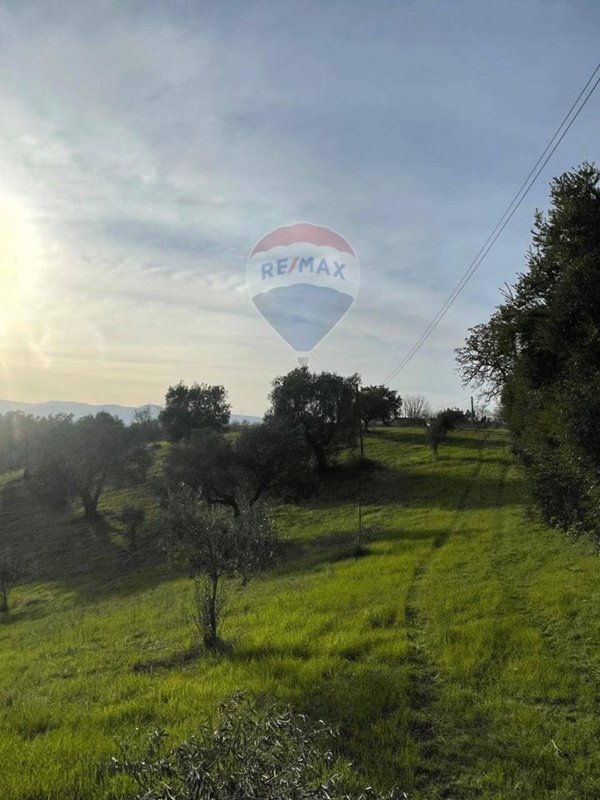 immagine annuncio 0 di 14
