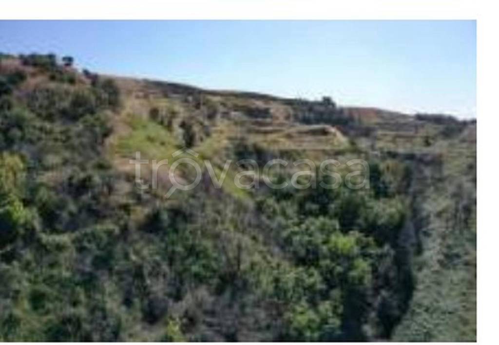 terreno agricolo in vendita a Cerzeto