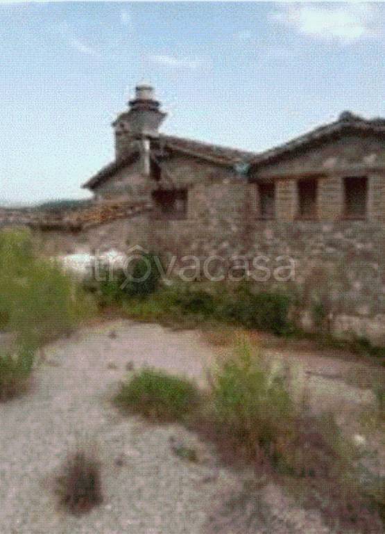 terreno agricolo in vendita a Cerzeto