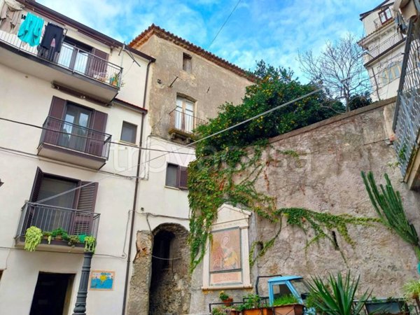 appartamento in vendita a Cetraro