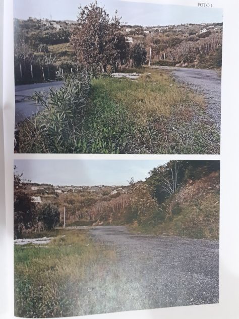 terreno agricolo in vendita a Cetraro