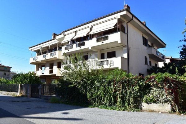 appartamento in vendita a Cetraro