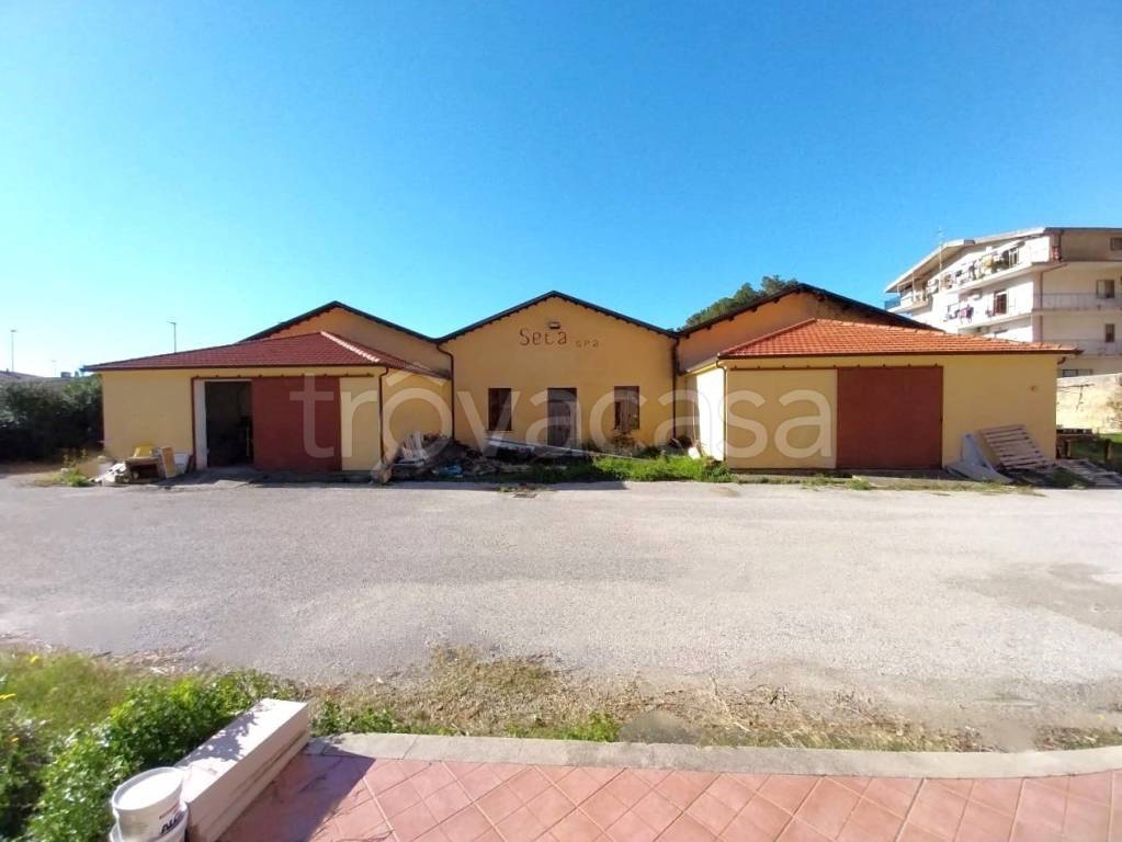 locale commerciale in vendita a Cetraro