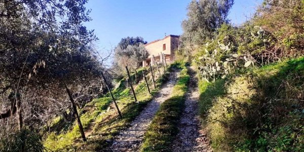 appartamento in vendita a Cetraro in zona Santa Lucia