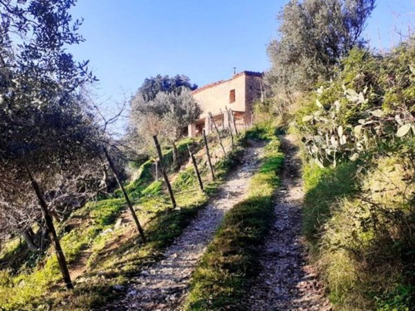 casa indipendente in vendita a Cetraro in zona Santa Lucia