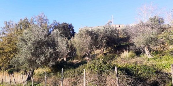 casa indipendente in vendita a Cetraro in zona Santa Lucia