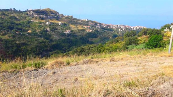 casa indipendente in vendita a Cetraro