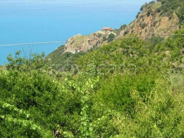 terreno agricolo in vendita a Cetraro in zona Santa Lucia