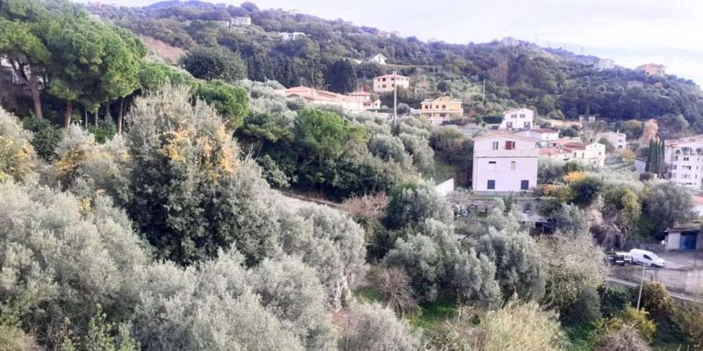 casa indipendente in vendita a Cetraro