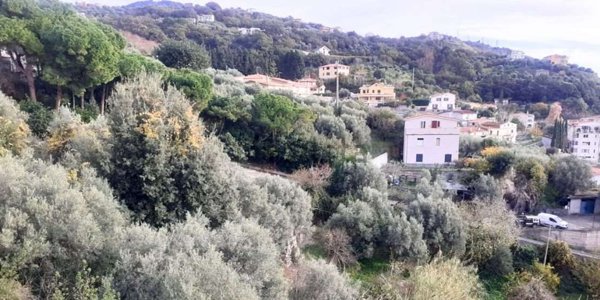 quadrivano in vendita a Cetraro