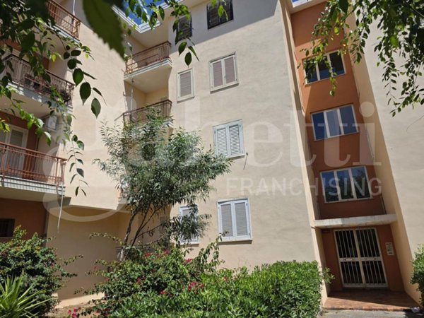 appartamento in vendita a Cetraro