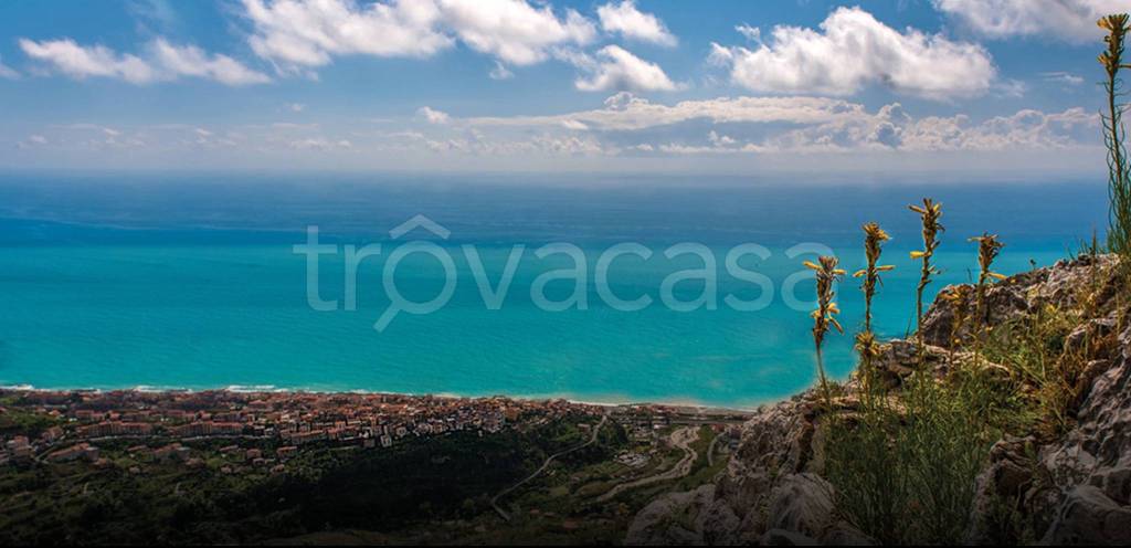 immagine annuncio 0 di 12