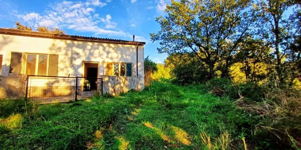 appartamento in vendita a Cetraro