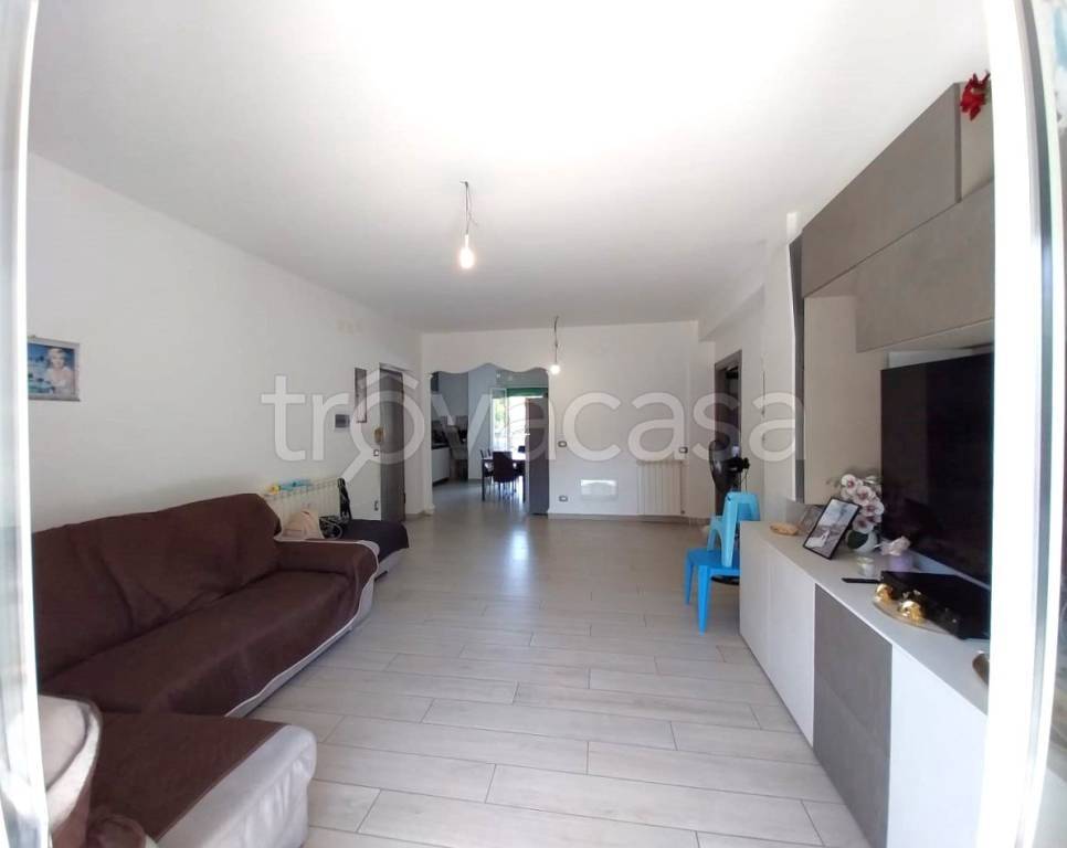 appartamento in vendita a Cetraro