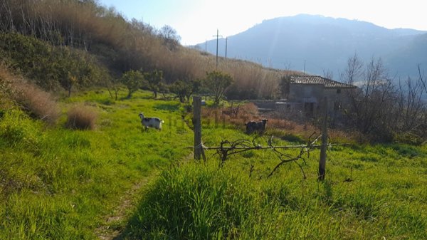 rudere in vendita a Cetraro