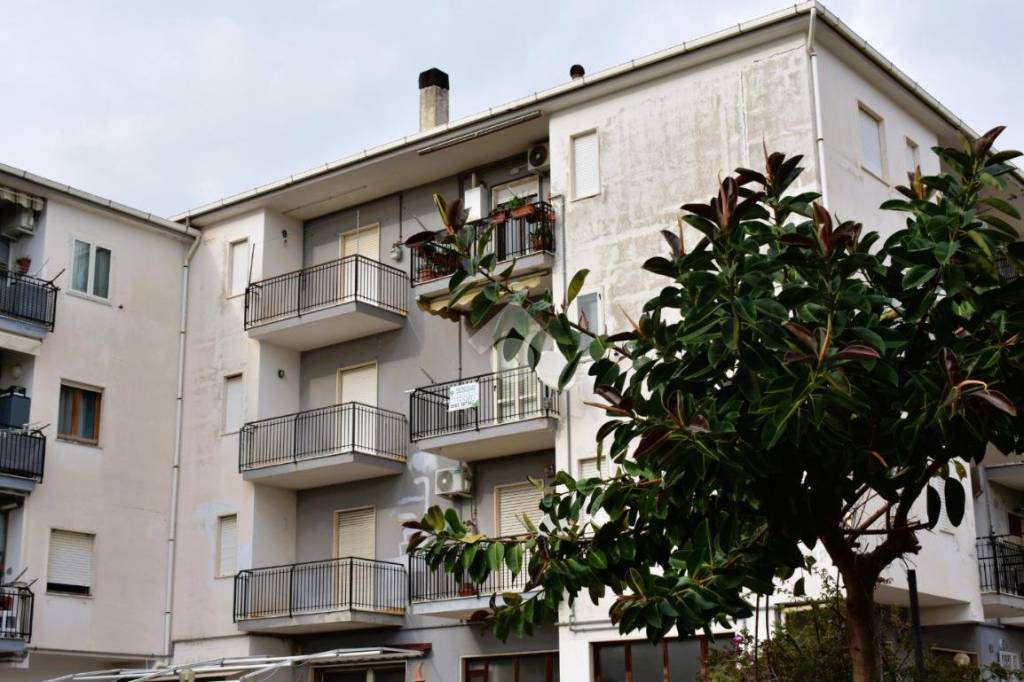appartamento in vendita a Cetraro