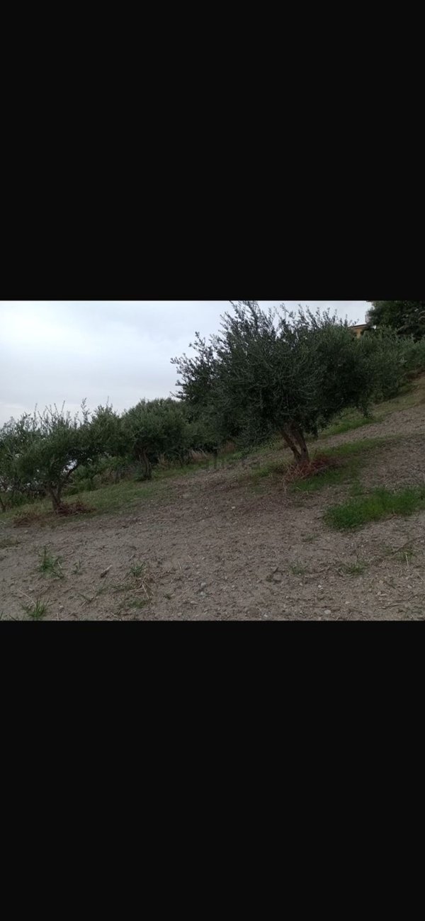 locale di sgombero in vendita a Cetraro