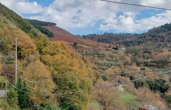 casa indipendente in vendita a Cetraro
