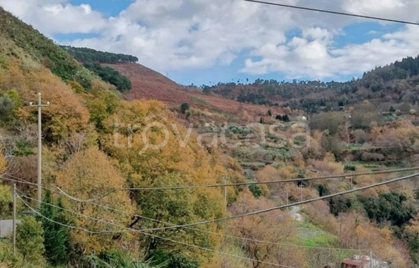 casa indipendente in vendita a Cetraro