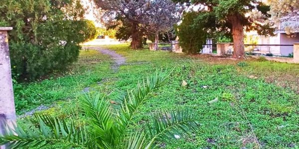 appartamento in vendita a Cetraro