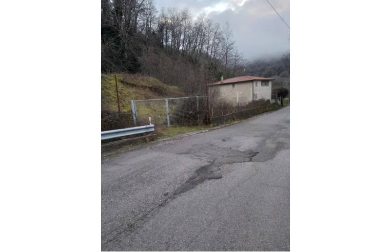 casa indipendente in vendita a Cetraro in zona Bosco