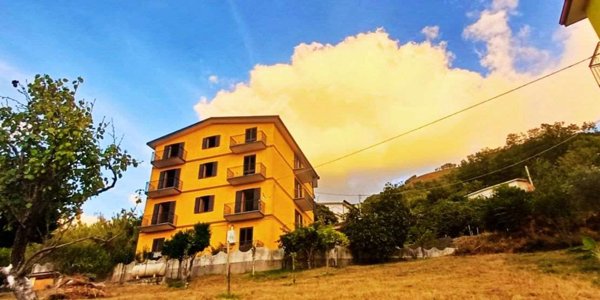 appartamento in vendita a Cetraro