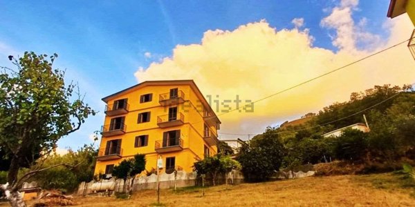 appartamento in vendita a Cetraro